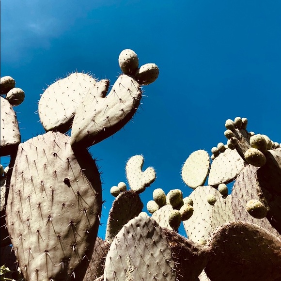 Meet your Posher, Lana - Picture 1 of 1